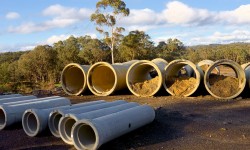 Etiam dictum egestas